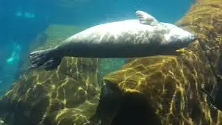 More Zoo Adventures!!!