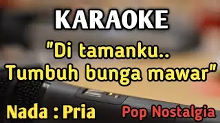 BUNGA MAWAR - KARAOKE || NADA PRIA COWOK || Pop Nostalgia || Novia Kolopaking || Live Keyboard