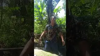 #keunikan batu kalipancuran air mengalir sepanjang jaman