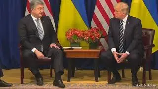 Порошенко и Трамп после саммита (Alex Nikolas)