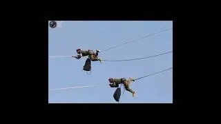 Top 10 Weird and Wonderful Pictures 