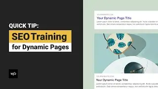 SEO Training for Dynamic Pages | Quick Tip by Without Code
