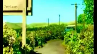 управления создания и развития ММДЦ Москва СИТИ   the best #   244