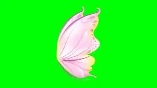 Butterfly Wings Animation Green Screen
