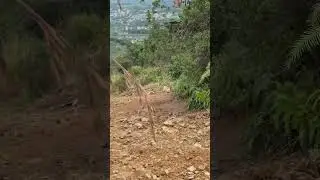 Tanjakan gampang kok gubrak #trail #motocross #endurotrail #enduro #jalurtrail #viralvideo