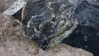Старые водопропускные трубы.