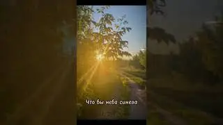 Трек 