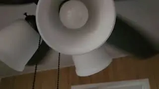 Hunter Low Profile Ceiling Fan(Review)