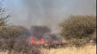 Thakadu Burn July 2017 2