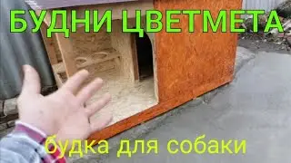 БУДНИ ЦВЕТМЕТА ИЛИ КАК ПРОХОДЯТ МОИ ВЫХОДНЫЕ. ДЕЛАЮ БУДКУ ДЛЯ СОБАКИ. КА ЗДЕЛАТЬ БУДКУ ДЛЯ СОБАКИ.