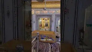 ਰਾਜਾ ਬਲੀ ਕਰੋ ਭਲੀ ਜੈ ਰਾਜੇ ਦੀ #jairajedi #jaibajrangbali🙏🙏 #jairajasahibjidi🌷💐🌺 #rajasahibjimeharkro