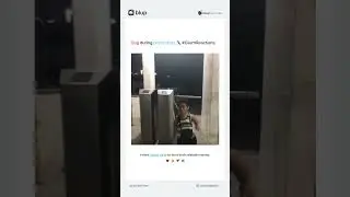 Bug or Feature? Decoding Client Reactions in Production. 🐞💻#BugOrFeature #ClientReactions #flutter