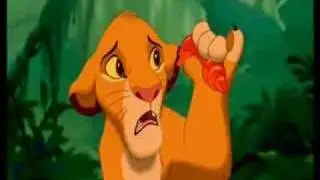 Simba wants to borrow Your top!