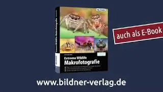 Makrofotografie - Extreme Wildlife