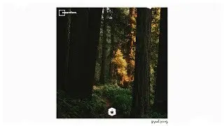Squareface - Great Pines