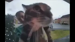 Cat Meows into door Camera And Disappears with Reverb V2