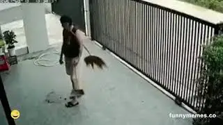 Brush thief 🤦‍😂