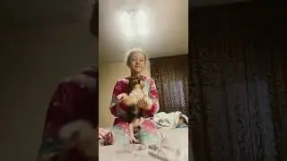 Хаси не пострадала!!!!!! 
