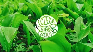 Metic - Soul Feather (jazzhop vibes)