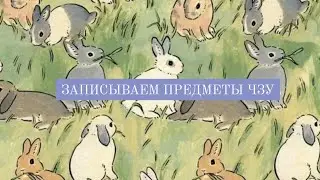 ČZU или как записать себе предметы в чзу | гайд