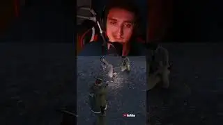 Máme tu pštrosa 🙊 | GTA V (LSPDFR) | Wigleg