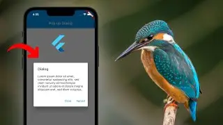 فلاتر على الماشي - نافذة مربع الحوار : Flutter to go - Pop-up Dialog