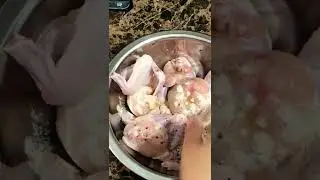 Chicken wings in oven