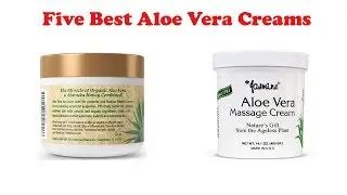 5 Best Aloe Vera Creams In 2019