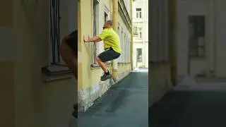 Обучалка на Палм Флип😜🤟