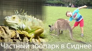 Зоопарк в Сиднее. Встретитесь с коалами, кенгуру, ехиднами и другими животными