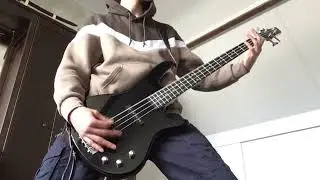 rammstein (rammstein) bass cover