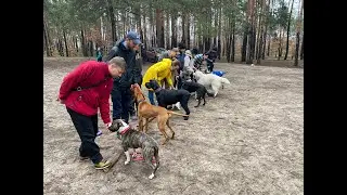 Зачем нужны собаки