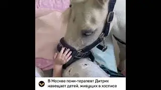 Пони терапевт навещает маленьких постояльцев хосписа
