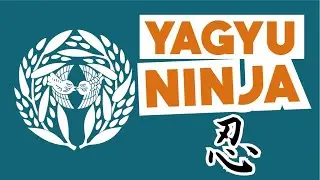 Yagyu Ninja