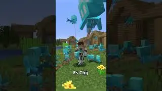 Secret Use Of Allay In Minecraft...