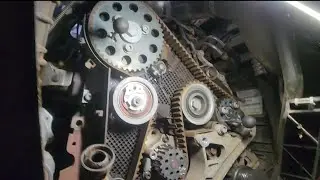 Volkswagen Transporter Van T6 2.0 TDI Timing belt removal and replacement