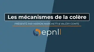 Gestion des émotions - Les mécanismes de la colère