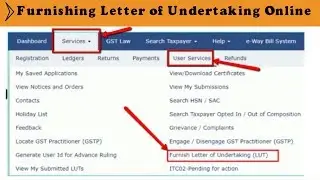 How To Apply For letter of Undertaking | By Free Ki Pathshala | Presentation