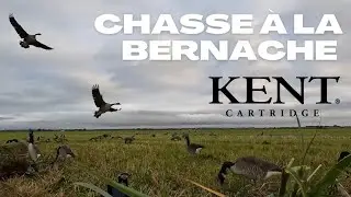 Chasse à l’outarde en tombeau (présaison) Goose hunt