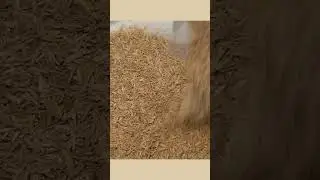 Beer Kit in a Minute: Irish Blonde Ale 