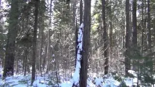 Crunchy Snow