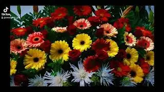 Arreglos florales para iglesia 💓🥀🥀
