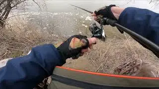 THE ASP SEASON IN DIRTY WATER IS OPEN Spring fishing with SPINNING.