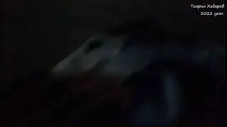 Smashing китайского DVD-проигрывателя Laser.