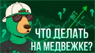 Что делать на медвежьем рынке в криптовалюте? NFT, Тестнеты, Амбассадорки
