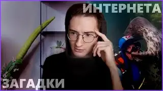 Дневная доза интернета с Олёшей 4 (с нотками историй про парашют)