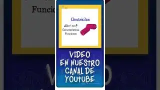 ¿Qué son los centriolos ? 🌐 