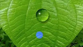 How to Make Water Drop in Adobe Photoshop 7. 0. - Urdu Tutorial