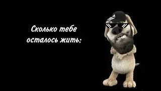Сколько тебе осталось жить: