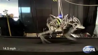 Самый быстрый в мире робот с ногами DARPA Cheetah